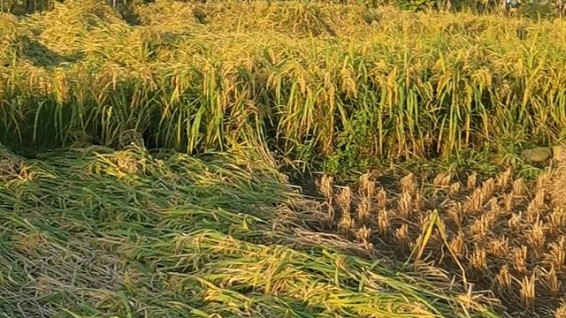 80 后 90 后都熟悉场景，更是小时候的回忆！