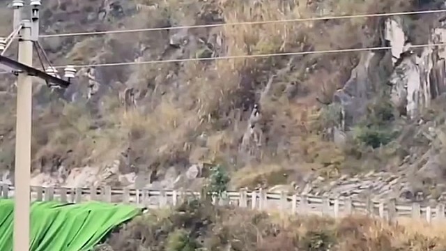 这个是什么火炮？这么厉害？