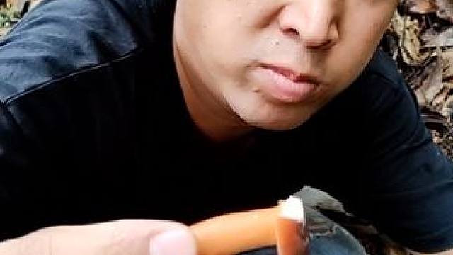 #云南人吃菌子的季节 #捡菌子的乐趣 有一种菌子可以生吃#奶将菌