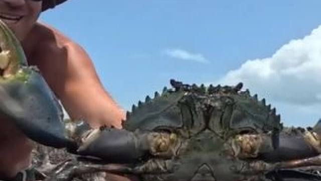 #国外视频分享 #捉螃蟹 #螃蟹