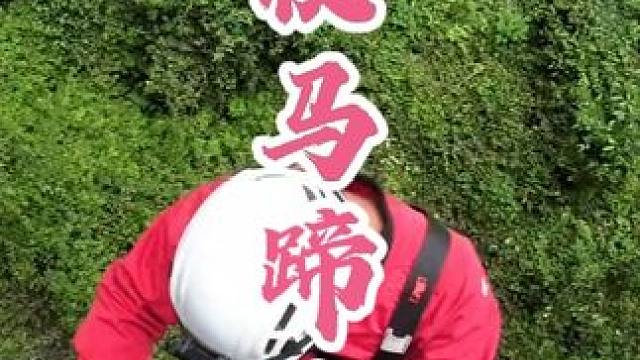 探索天坑，竟出现惊险一幕！天坑底部为何会出现传说中的，棺材菌？ #户外探险 #勇者菩提  #户外 #