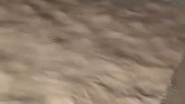 原来毛驴也会游泳啊 