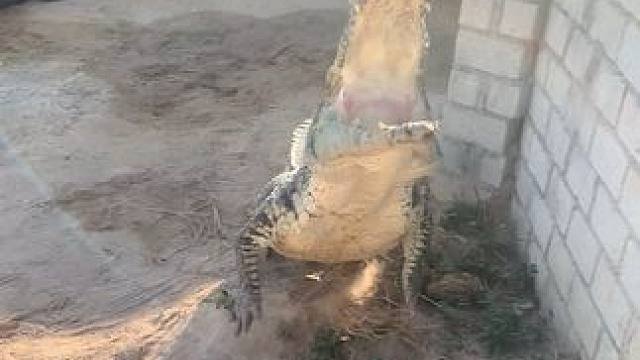 你可别逗我，我是真会挑哈哈哈哈哈哈