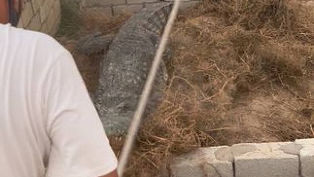 差点一桌坐八个……