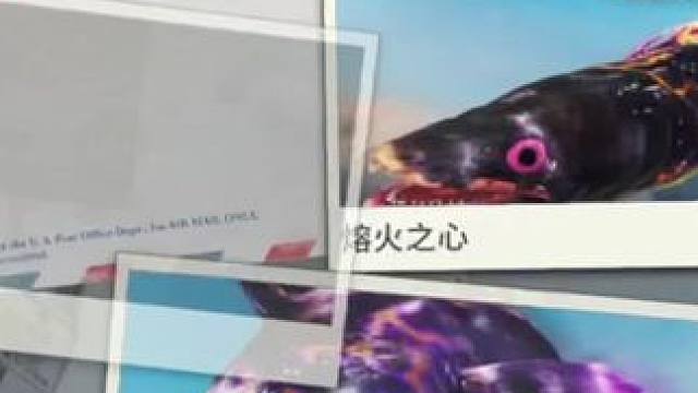 最后一条鱼钓出来就拿到手套啦#TapTap-0521期  #taptap发现好游戏