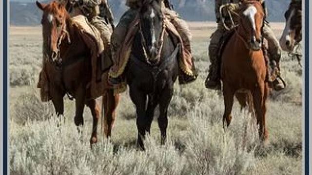 当危机发生时，来看看特种小队如何巧妙应对#电影推荐 #新剧观看