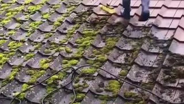 我发布了一个新视频，快来围观吧！