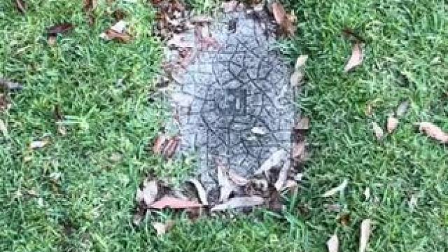 我发布了一个新视频，快来围观吧！