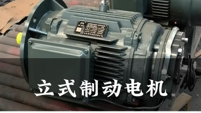 山东盛华立式制动电机，机身强度高，加大制动线圈不起热。