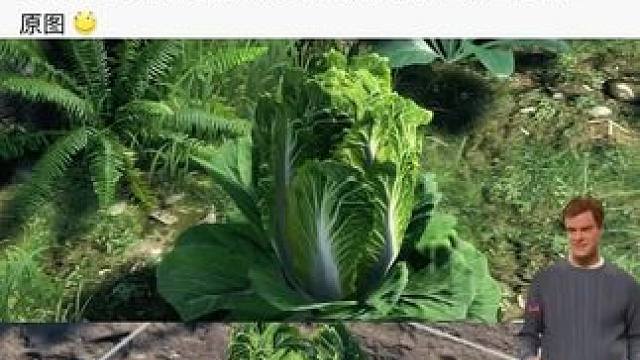 #游戏日常 #游戏中的瞬间 #手游推荐 #逆水寒手游