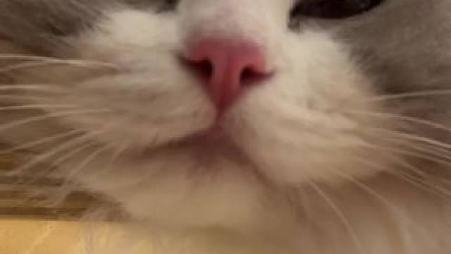 不是日常怎么变朋友日常了！我只能24小时后手动隐藏了