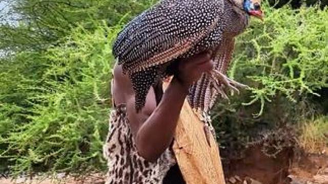 原始部落捡到大耳狐#荒野求生 #原始技术 #野外生存