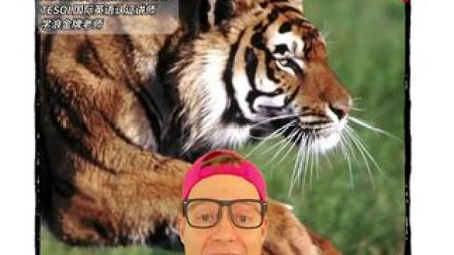 想听更多美国AJ老师读经典绘本吗？快进直播间！