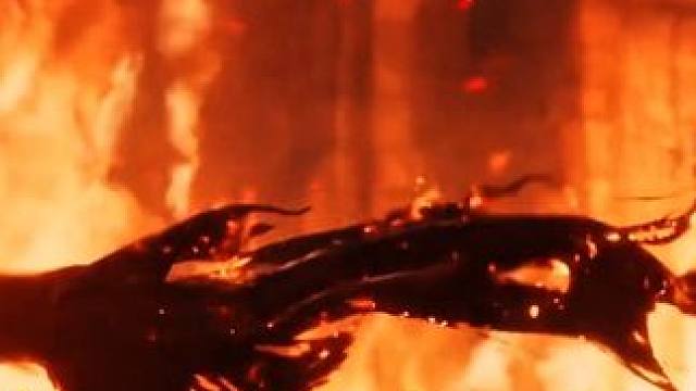 玩完法环DLC接着玩黑神话我都不敢想多爽 #艾尔登法环 #艾尔登dlc