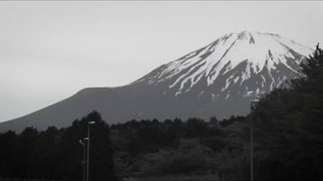 28位女车手同场竞技的场面不多吧，赛车并不是男人的专属运动！ #弯道快才是真的快 #专业车手 #速度