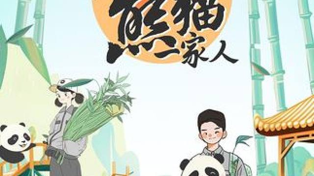 这个节目里能看熊猫啦，超可爱的哦 #综艺解说 #熊猫一家人