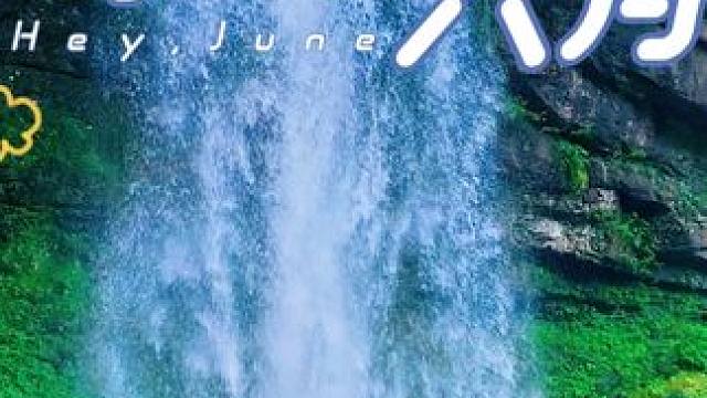 迷失在风景里 陶醉在秘境中#这就是人间仙境吧 #大自然天然氧吧 #旅行推荐官 #网红瀑布 #成都避暑