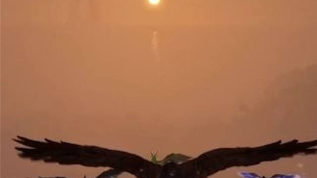 王权与自由Steam国际服定档公测，游戏将于9月17上线，7月内测 #王权与自由国际服 #命运方舟 