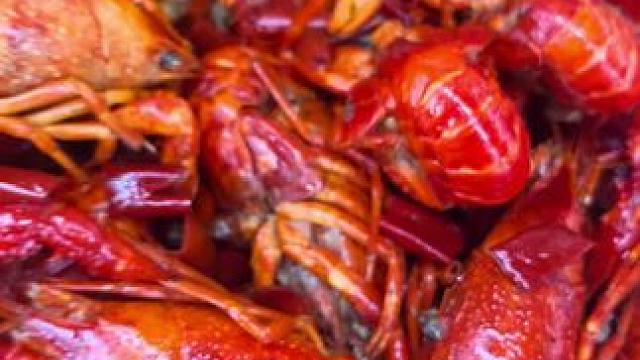 #每天都是新鲜食材 卤虾#小龙虾 出摊咯！