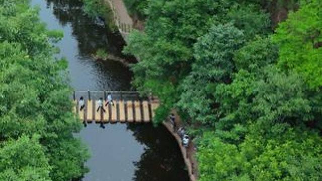 九峰山景区 #养在九峰山 夏天，
过得很慢，
夏天，
是没有标签的浪漫。
