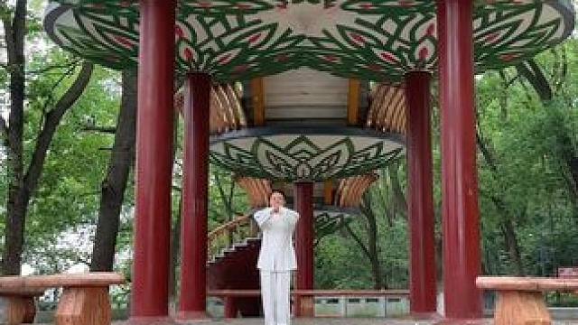 太极女学员习练打卡陈式太极拳十三式#传承文化#太极拳#日常训练 #太极养生#宜昌