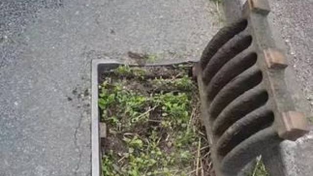 我发布了一个新视频，快来围观吧！