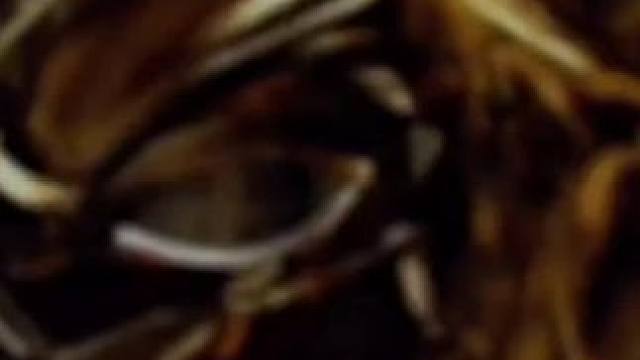 #游戏 #灵魂回响黑色 #手游