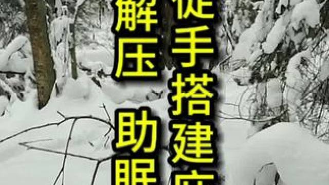 在雪中徒手搭建见棺发财庇护所，祝家人们钱多多，晚安，解压、助眠#解压助眠 #荒野搭建 #野外建造 #