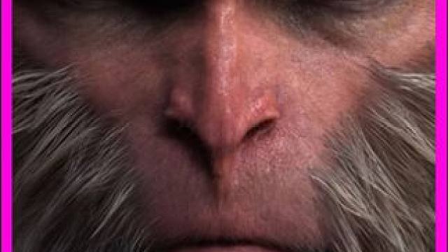 西游记中的四大混世猴王，你知道有谁？ #黑神话悟空 #天命人召集令