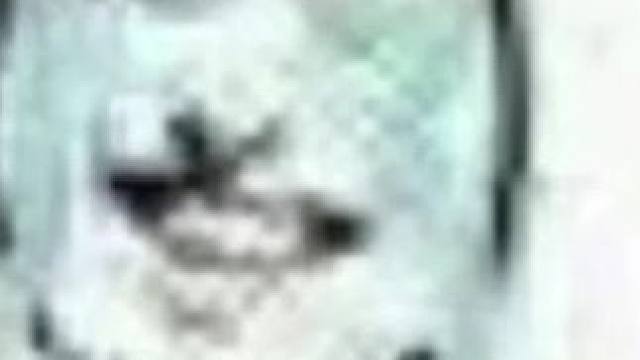 #和之国回忆雷利 #航海王热血航线
尽力了，出声啊