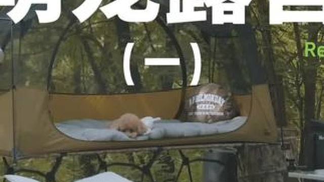 萌宠露营（一）
 #露营 #萌宠 #助眠 #户外露营 #上热门