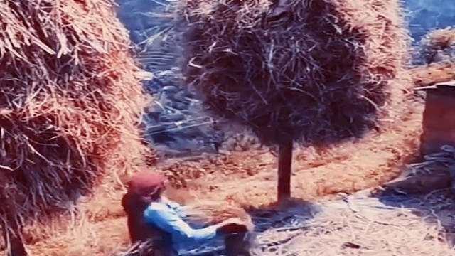 劳动人民的智慧就是高！[赞]