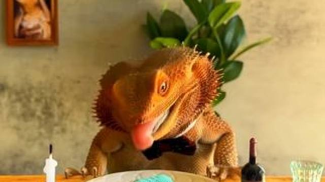 #分享有趣的视频 #动物的迷惑行为 #难得一见