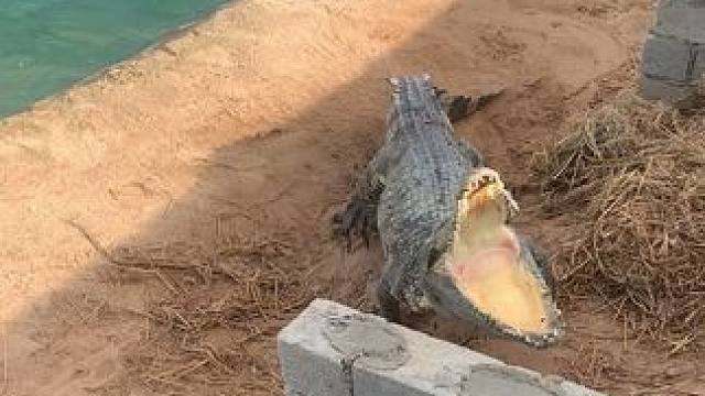 吓我是有后果的……