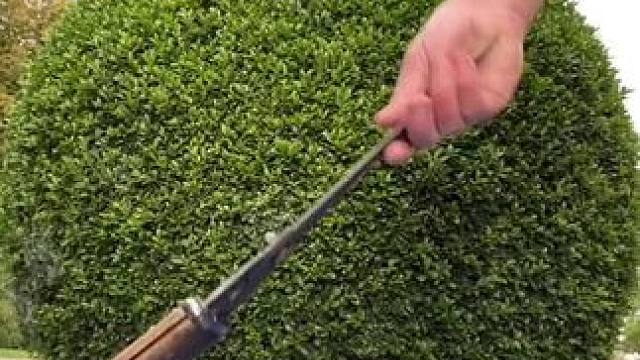 我发布了一个新视频，快来围观吧！