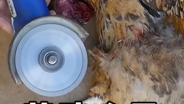 #劳动人民的智慧 #三农 #农民种地不容易#我的乡村生活  #实用小技巧