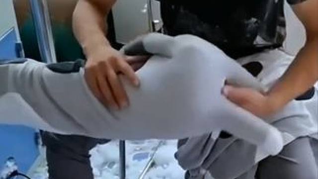 熟练的工人 #打工人  #神操作 #解压 #解压视频 #高手在民间