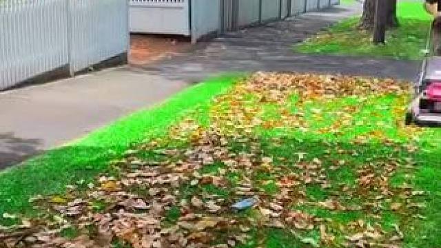 我发布了一个新视频，快来围观吧！