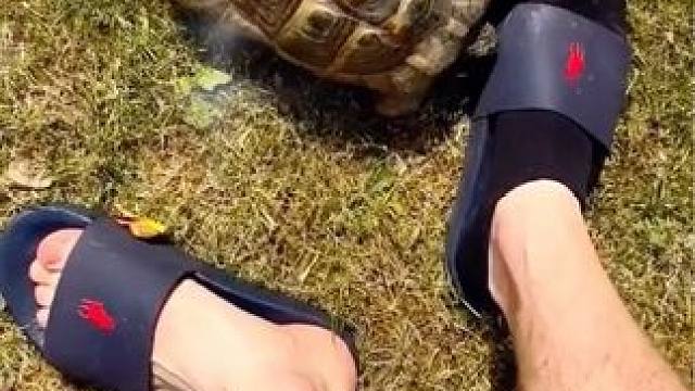 它特别讨厌黑色
#动物的迷惑行为 #人与动物和谐共处 #野生动物零距离 #keep