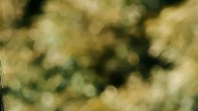 一个成为母亲的寄生兽，为了宿主的孩子，竟献出了自己的生命 《寄生兽：完结版》3/3 #奇幻 #惊悚#电影解说