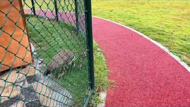 #户外活动一下 #发现生活发现美 #生活就是这么简单 #动物世界看人生百态 #人与自然和谐