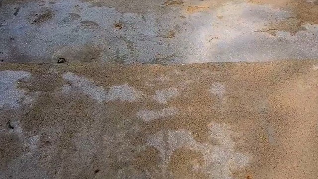 楼梯滚瓶子爆破解压时刻