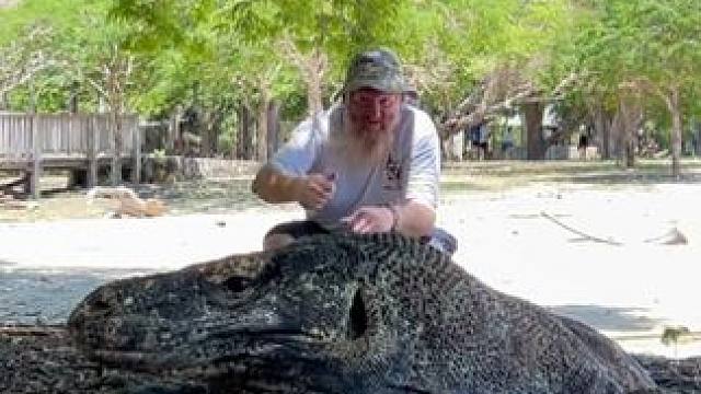 #国外视频分享 #野生动物零距离 #科莫多巨蜥