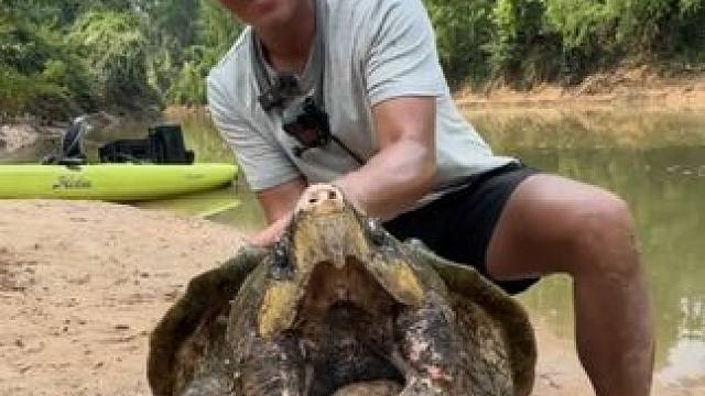 钓上一只大鳄龟 #国外视频分享 #户外钓鱼 #鳄龟