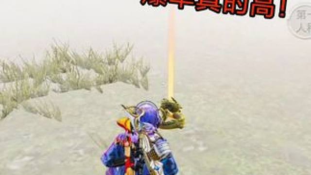 金妹控出击迷雾荒岛！居然爆了龙腾金雕！ #和平精英地铁逃生  #和平精英刺激归来   #和平精英