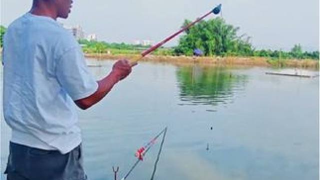 钓青鱼双钩距离最佳尺寸是多少？#钓鱼 #钓鱼人的夏天从盘老板开始 #20