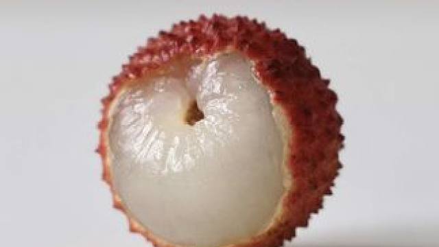 关于《我的视频火遍外网，我的账号无人问津》这件事 把这个千万播放的视频搬回来给大家看看，正好现在水培