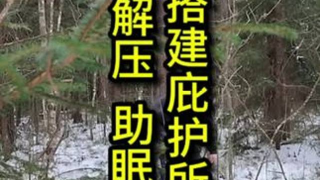 徒手搭建庇护所露营，现在这个点了，家人们该睡觉了吧！晚安，解压助眠哦#庇护所建造 #解压助眠 #户外