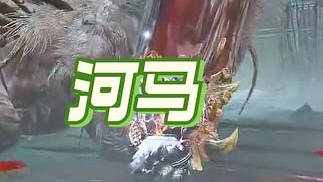 狮头对河马 #艾尔登法环 #艾尔登法环dlc #游戏日常分享 #游戏 #steam游戏