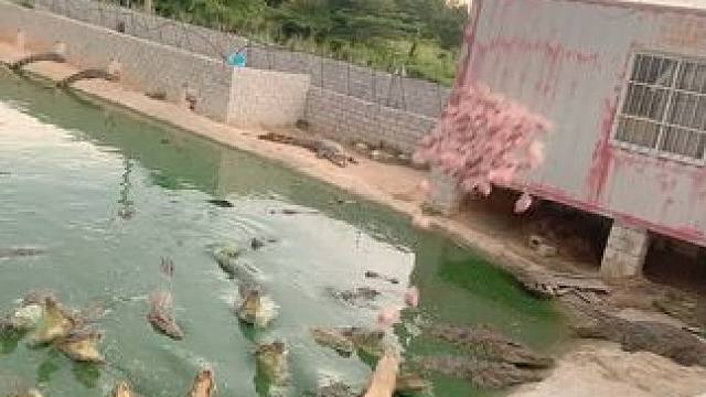 锻炼身体不如来我这，还能玩刺激的…